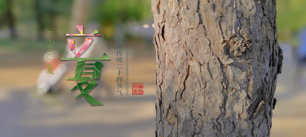 奔腾B70 各位车友你们都签购车合同了吗