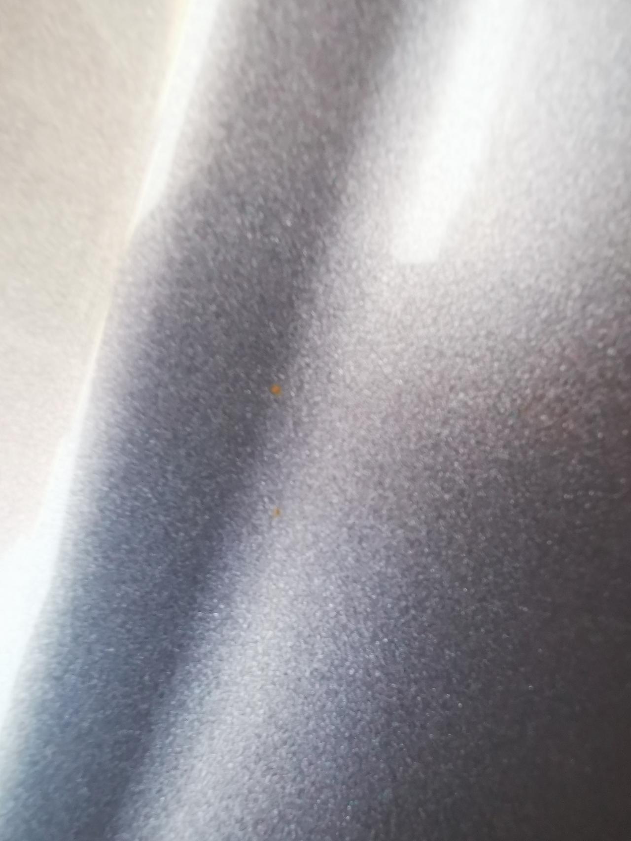 奇瑞瑞虎5x 今天在洗车店洗了下，没注意车顶上面有铁锈样子的点，怎么清除掉？