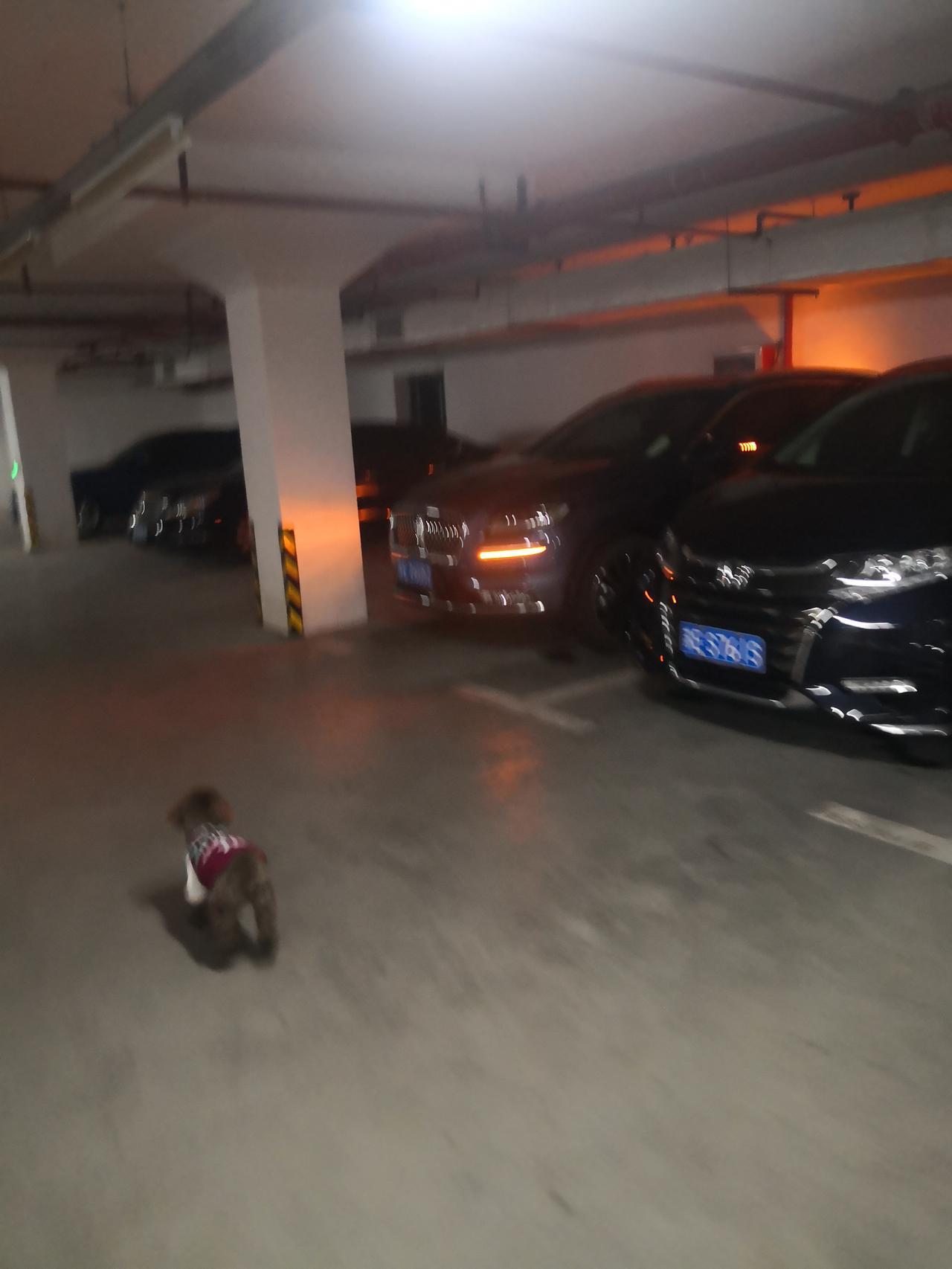 请问一下，我3月份买了一辆2，7排量的航海家总统版订，在停车几小后后令自动报警，灯光双跳，时间点达3分钟请教一下这是什么