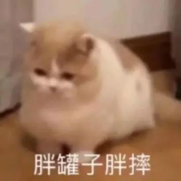 奇瑞瑞虎5x 我收回我说的话，海油不能加。发动机故障灯亮了