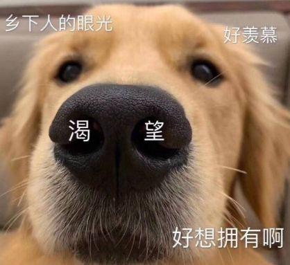 魏牌拿铁DHT 拿铁大杯 贷6万江苏老家：18.6落地 电控还得➕5000 送1000油卡月底拿驾照 新手自己开500公