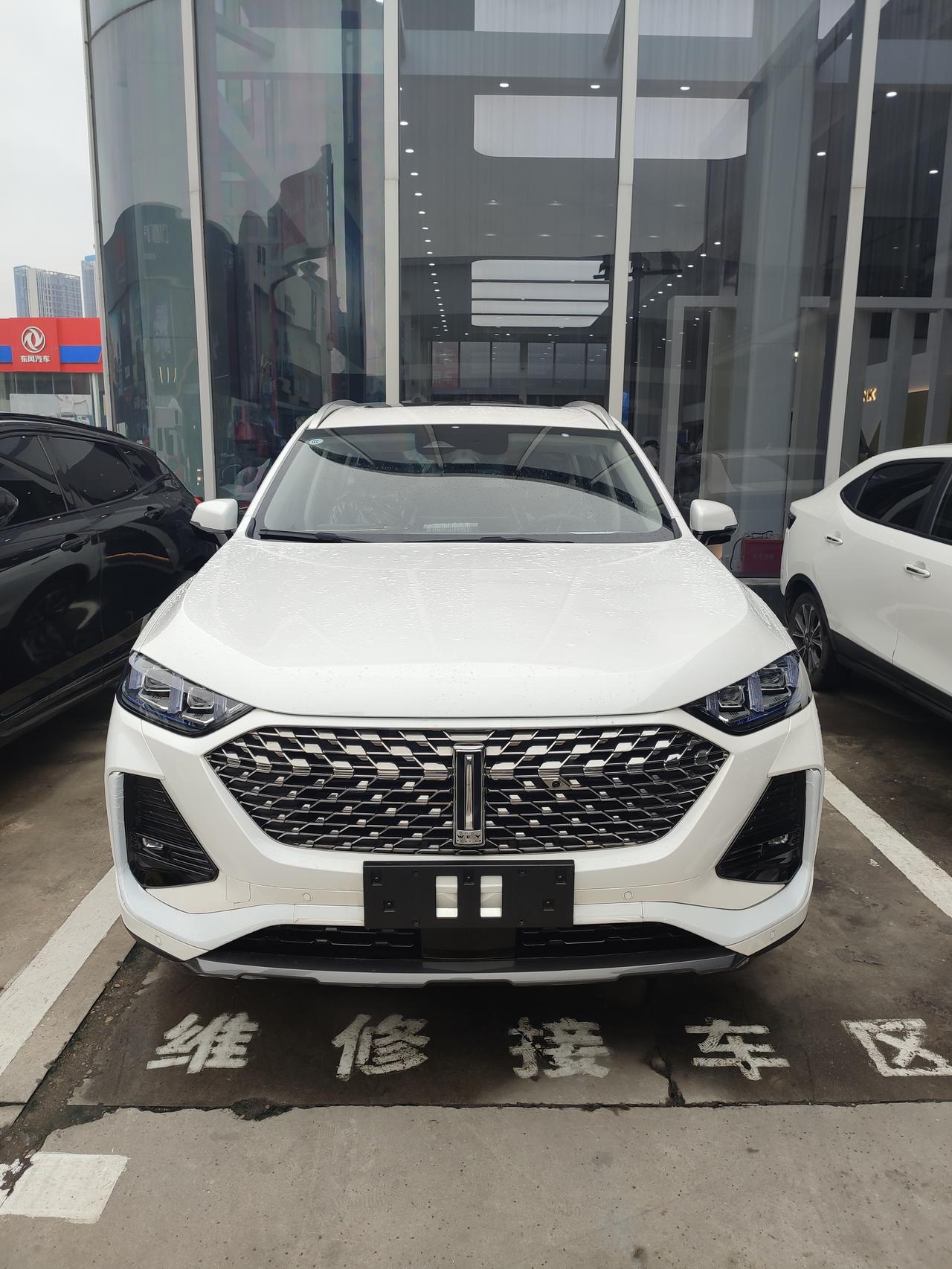 魏牌拿铁DHT 明天要去4儿子店提车了，库存了半年，不知道都要注意些什么？大佬们给点建议