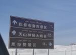 长城炮 各位前辈   2021款 乘用全球版自动四驱  柴油这款油耗怎么样，最近要提车