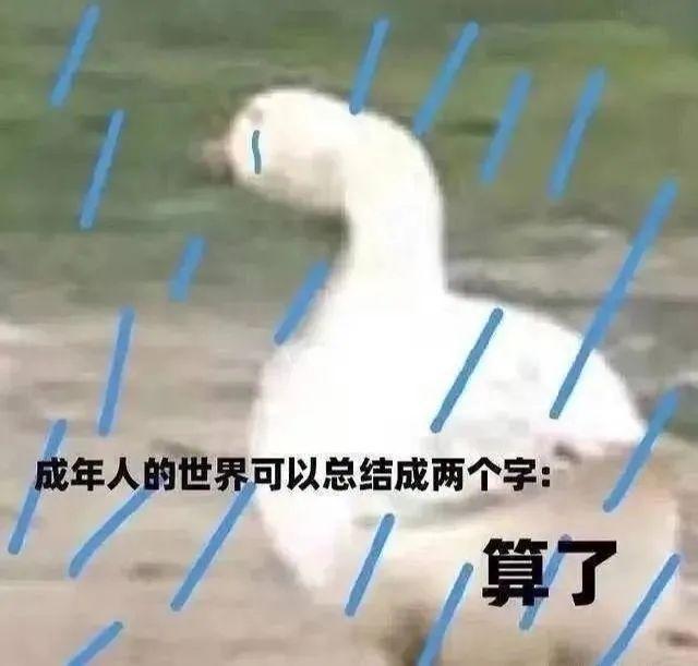 长安UNI-T 大哥们  首付五万，贷款9万，36期， 购置税12200，保险5000， 利息4800多  七七八八加一