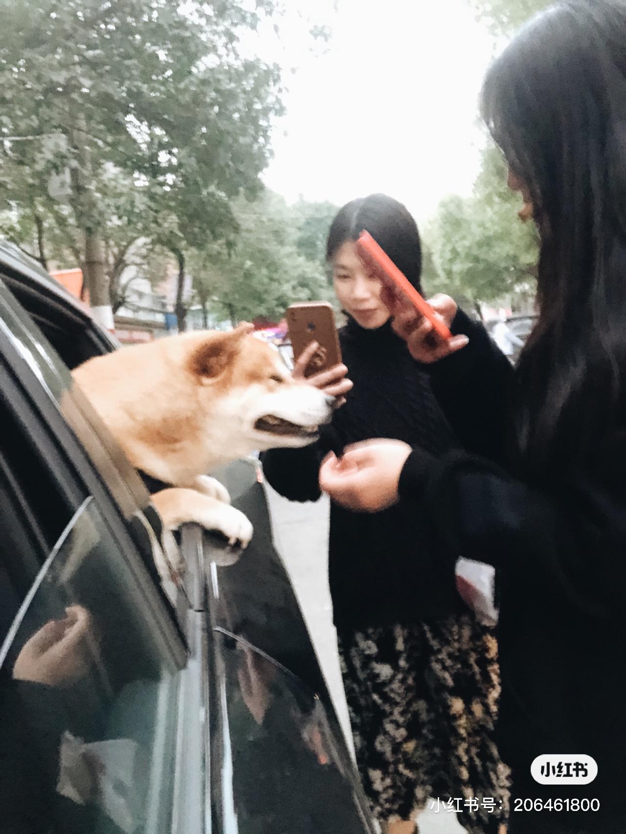 长安UNI-T 车道保持各位用不，是不是要自己去设置开启