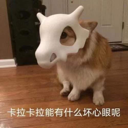 这炮炮乘用和商用能不能出分时啊 那20多个达不溜都出分时了 各位炮友  我等不起了  谁来给我解个迷惑