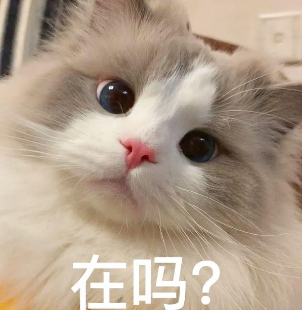 奔驰G级 干啥能赚到钱买大g