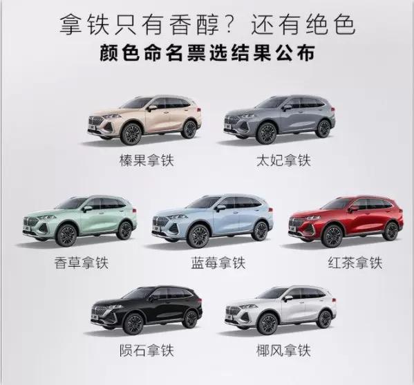 魏牌拿铁DHT 哪个颜色才是最好看的？