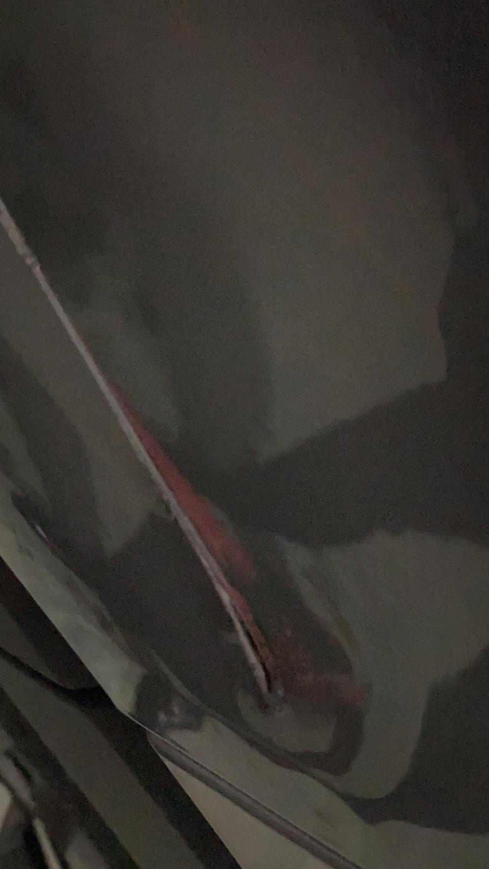 比亚迪宋PLUS DM-i 车门破了口子要换车门么？4S店换原厂车门是只换铁皮还是整个门？换完对整车是否有影响？求教！新