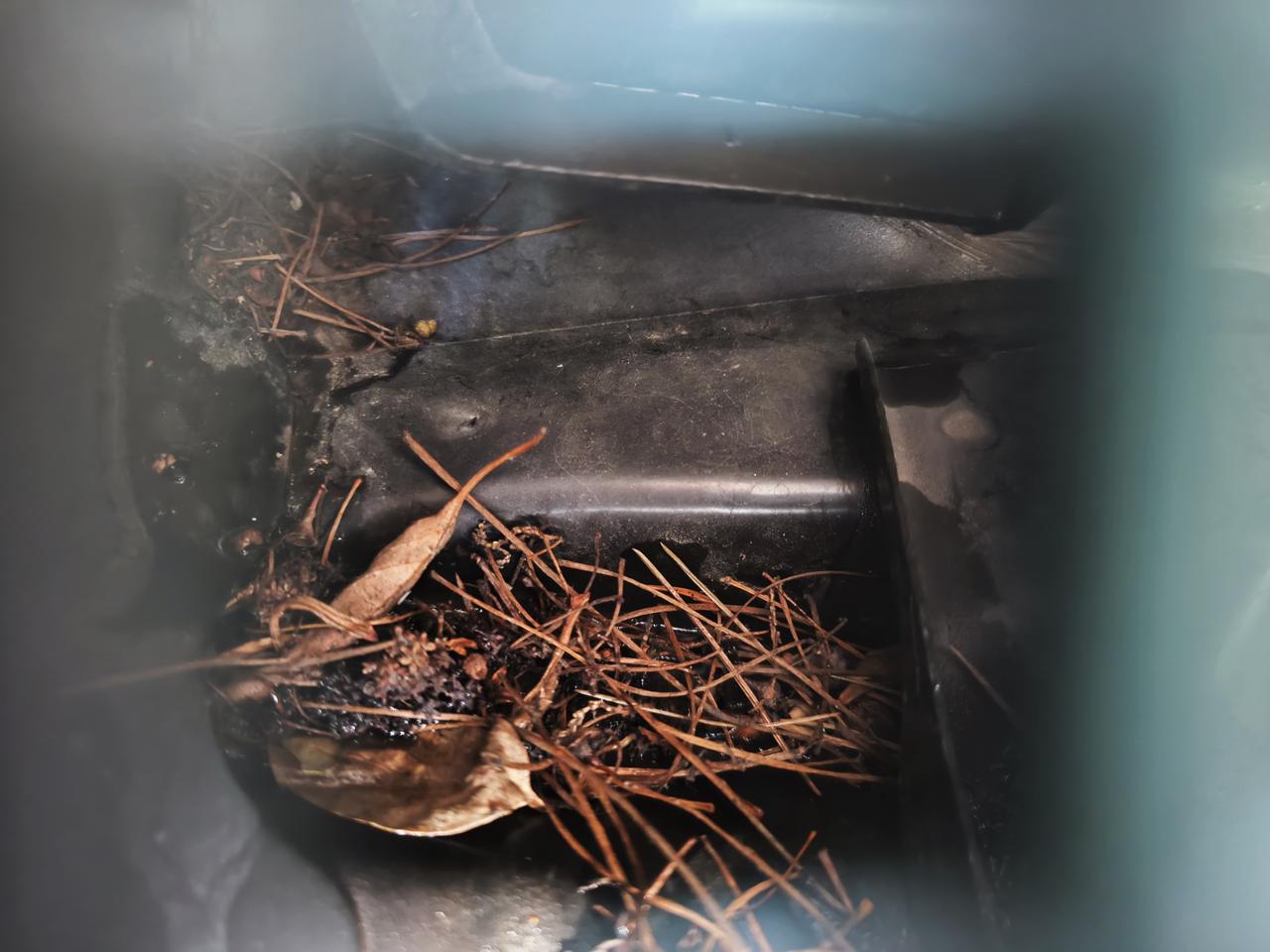 长安CS75 请问这个空调进风口进树叶了怎么处理呀？