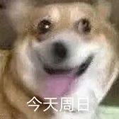 大众凌渡 各位大佬，小弟想买辆车准备找媳妇。在雅阁，英诗派，凌度l，蒙迪欧里面挑花了眼，不知道怎么选购，希望各位大佬能给