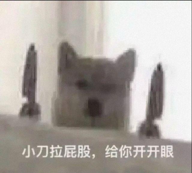 长安深蓝SL03 小白举手提问认识的车不多，想问一下有没有一款续航，品控等等啥都好，唯一的缺点就是耗电量大的车（因为可以