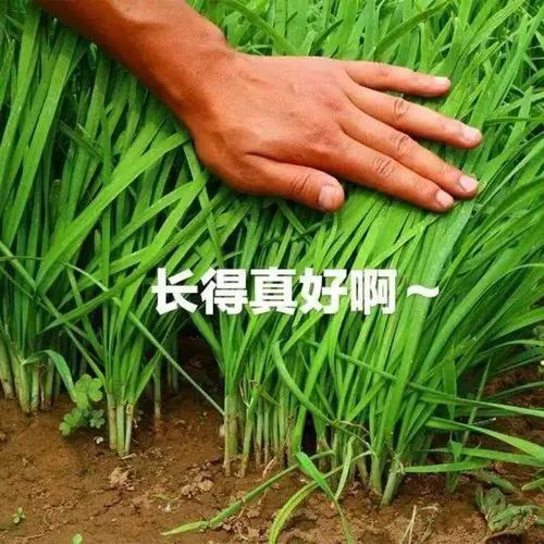 坐标山东四线小城，意向逸动顶配旗舰，我理想价位10.5，销售11.2不让价，10.5很过分吗？