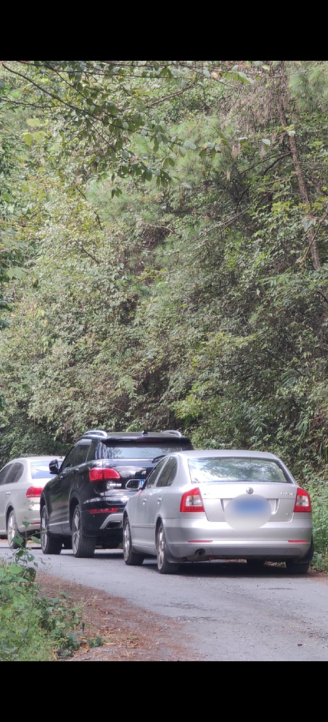 21逸动旗舰底盘离地间隙是多少啊，我偶尔有跑山路（不是盘山公路，是野路，比图一画的红圈里的路还烂一点）搞户外的需求。上次