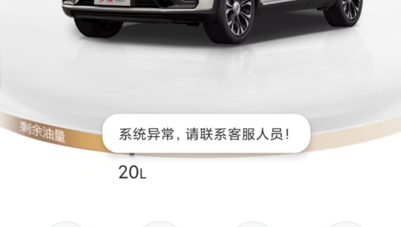 红旗HS5 你们红旗智联，能远程启动吗？？？我的老显示