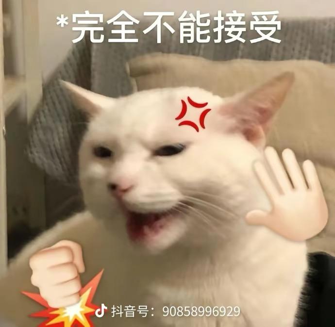 比亚迪海豹 想问一下，这个预售价还会改吗？