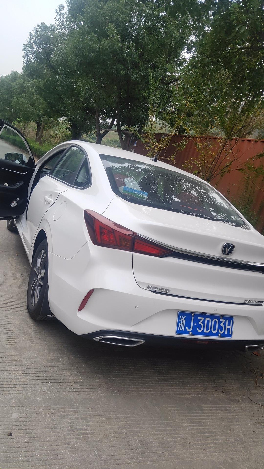 长安逸动 左转弯转过去然后左转路封了修路只是把左转车改到对方车车道上去了，然后我没注意超过了又直行了，会不会违章？各位车