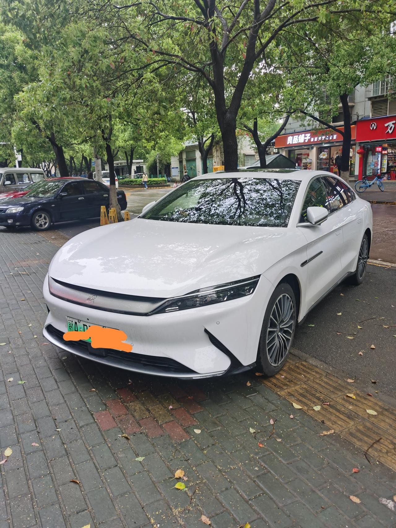 比亚迪汉EV 比亚迪昨天app维护，维护了什么东西呢？是空气还是车主对他的怨气？