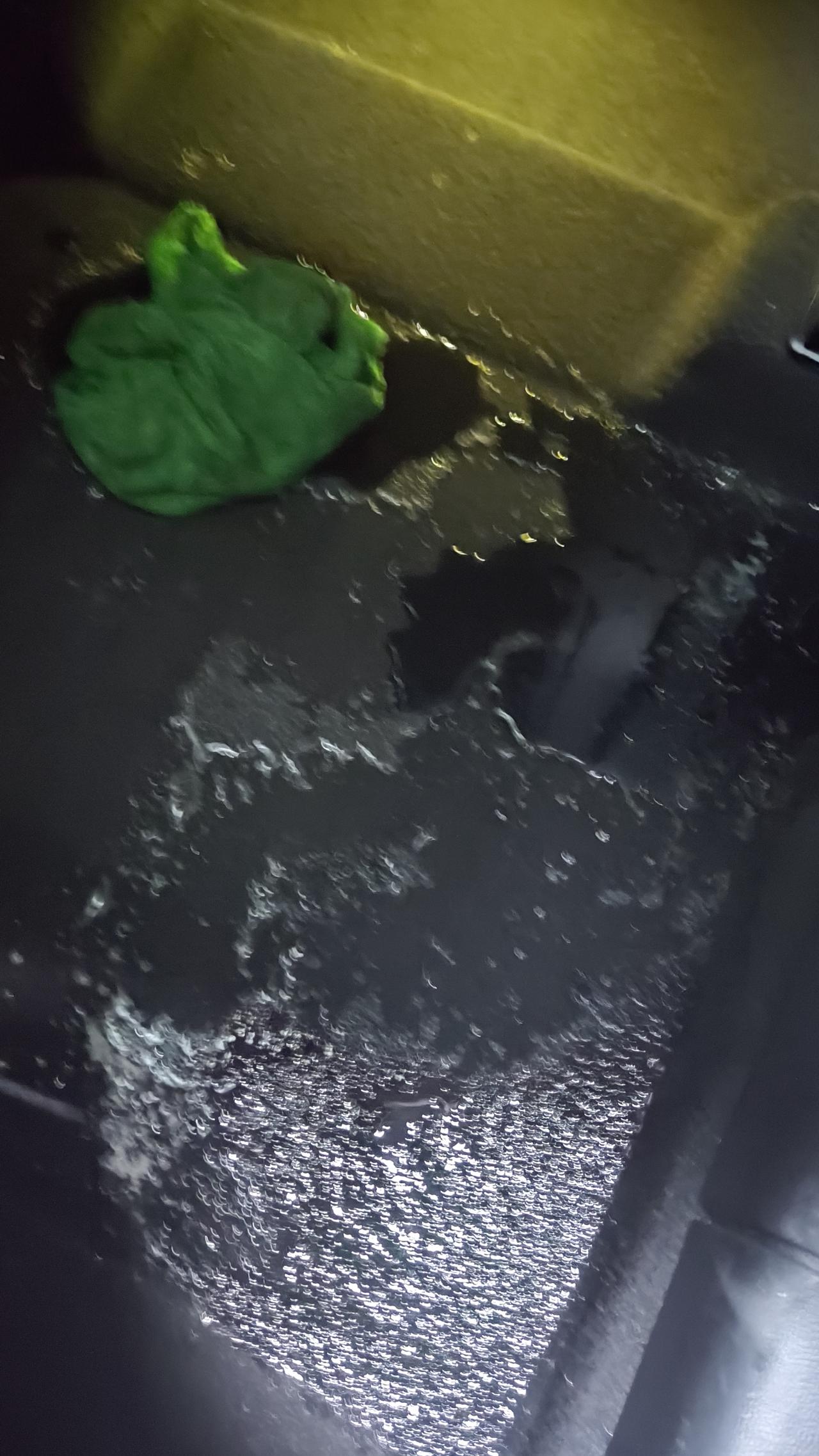 红旗HS5 6月20提的车，9月7号开出去发现后排右门处渗水，地毯上水渍一大片。后开到4儿子店，检查了两天说是一条雨刮水