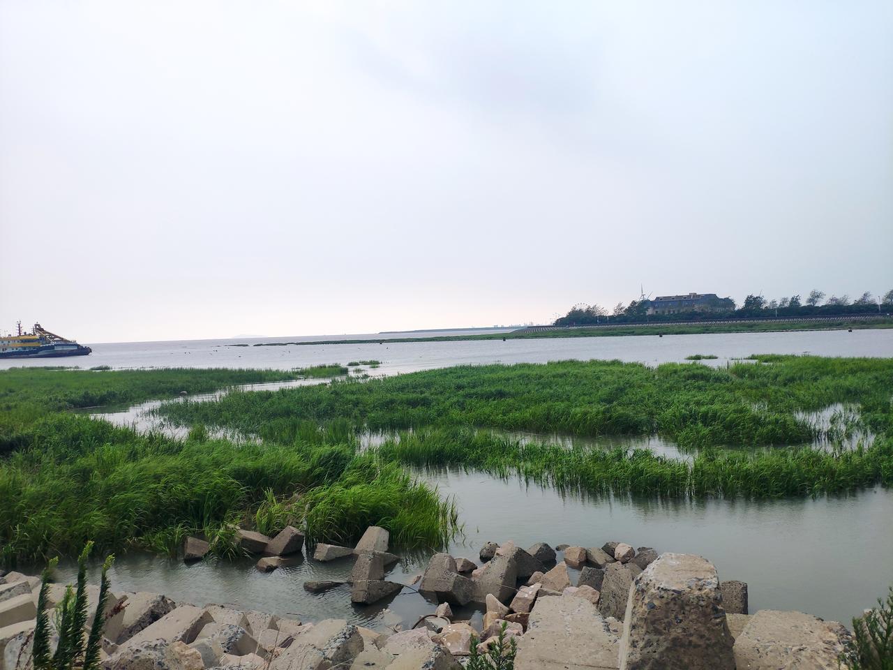 比亚迪的原车膜怎么样 是什么品牌 准备订海豹 有没有必要升级