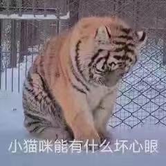 最近准备买君越艾维亚，老哥们，可不可以说一下这个车值得买吗？买旗舰还先享！