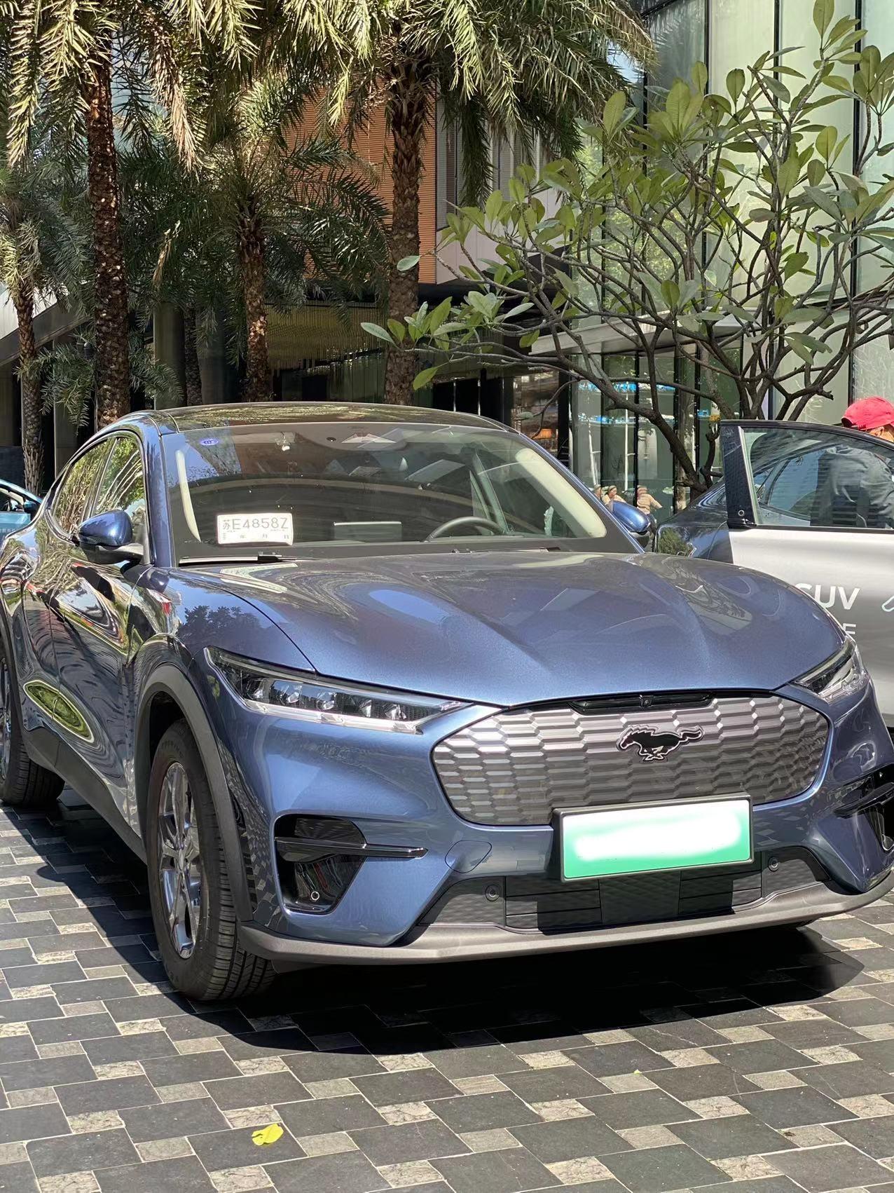 极氪ZEEKR 001 第一台车，我该买极氪还是电马？【油费?】本来想考虑买油车的，但是看到油费我沉默了……辣悲伤辣么大