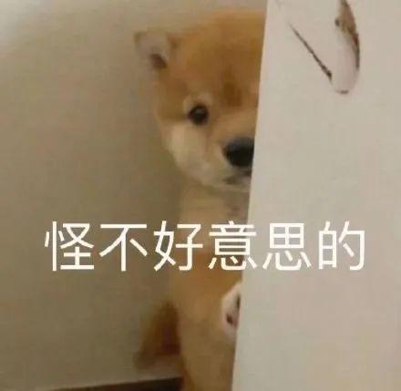 红旗HS5 新入手hs5，有什么需要买的东西啊？4s店就送了玻璃膜、全包脚垫、行车记录仪，第一辆车，谢谢啦~