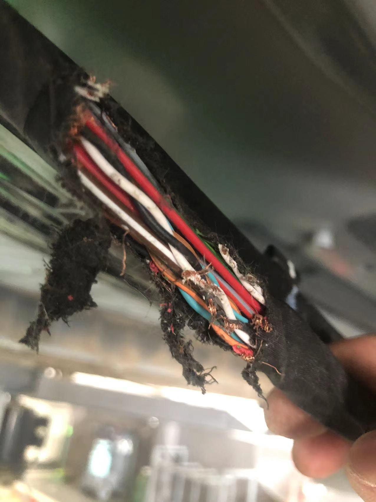 大众ID.4 X 大家碰到过线路被老鼠咬断的情形嘛？如何避免！才买了两个半月！