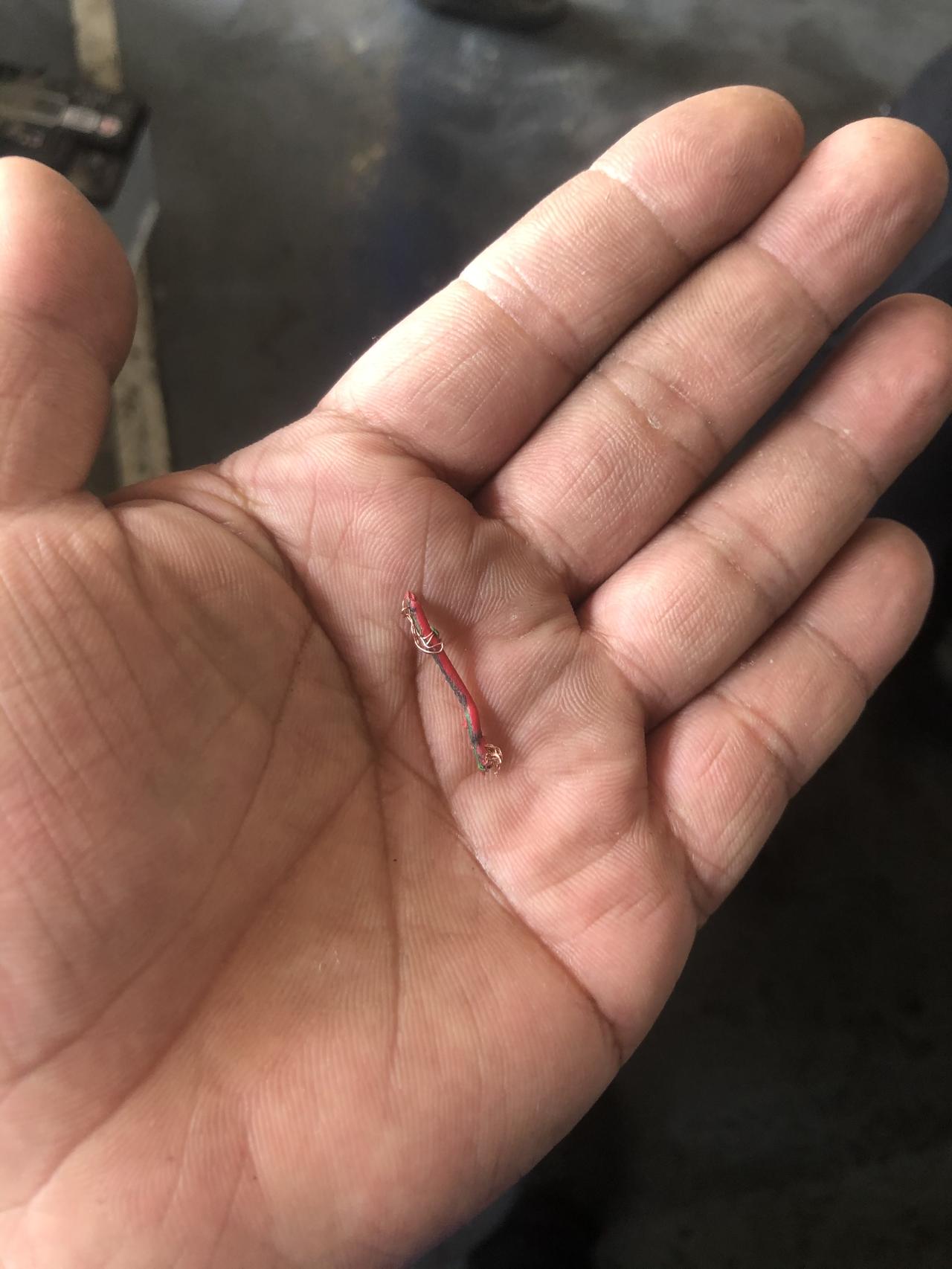 大众ID.4 X 大家碰到过线路被老鼠咬断的情形嘛？如何避免！才买了两个半月！