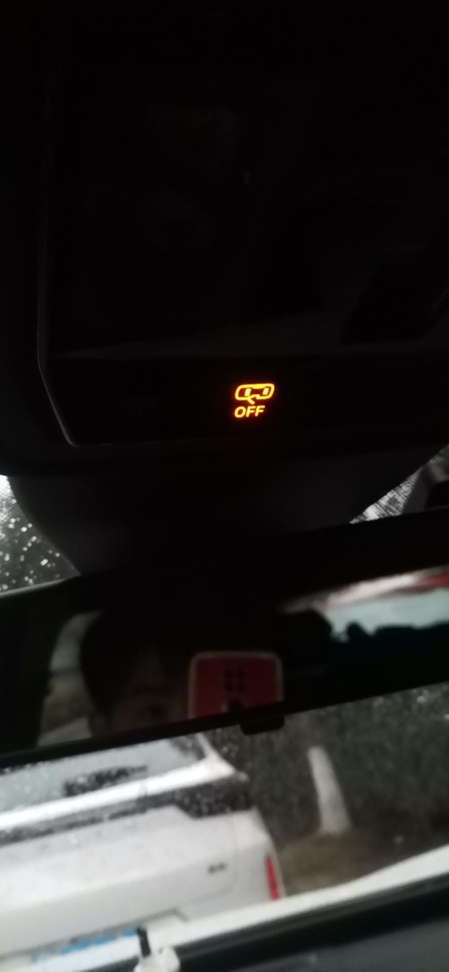 大众ID.4 X 这是怎么了。而且独独有一个车门的锁不好开。又遭殃了？
