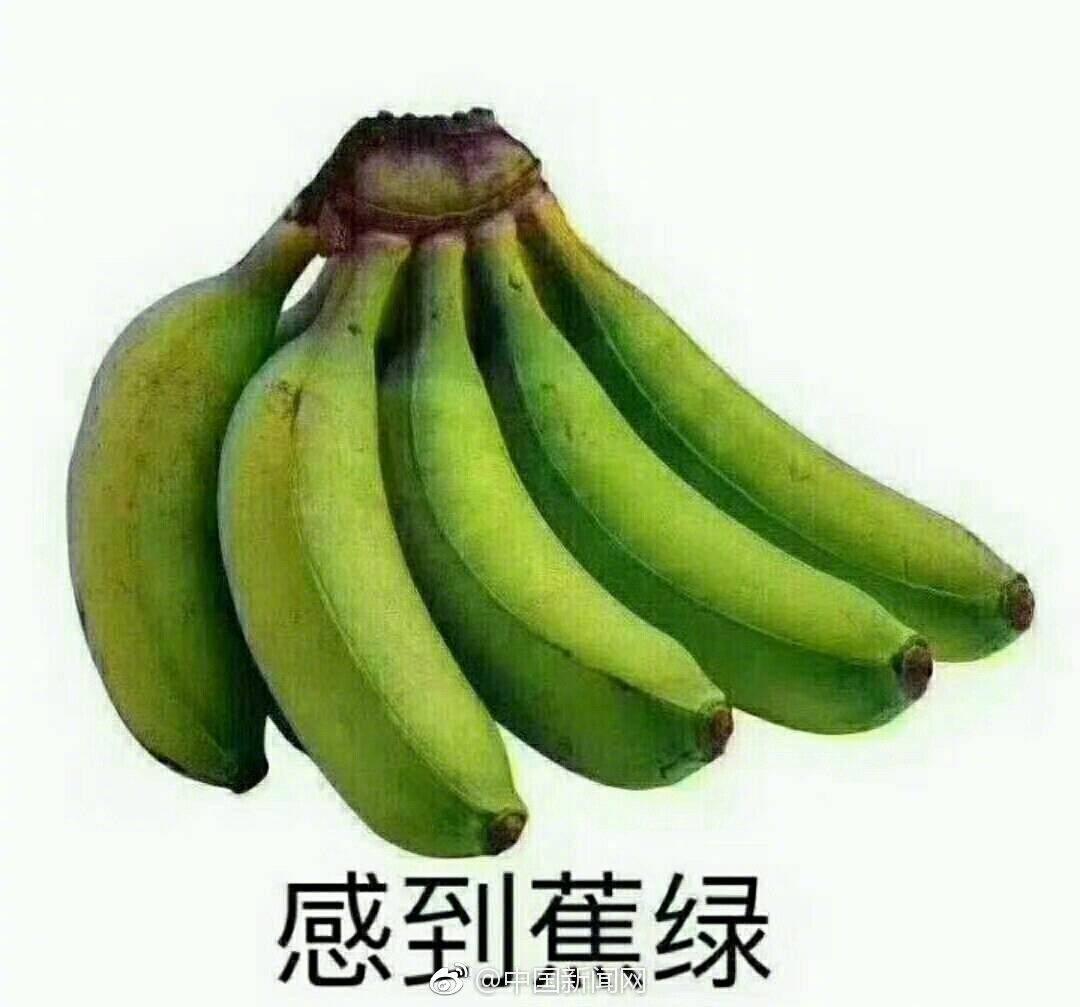 本人28，还没结婚，目前想明年入手蓝天运动，首付八个左右（自己手上有几个，再存个半年凑一凑）贷12个左右分五年，月收入1