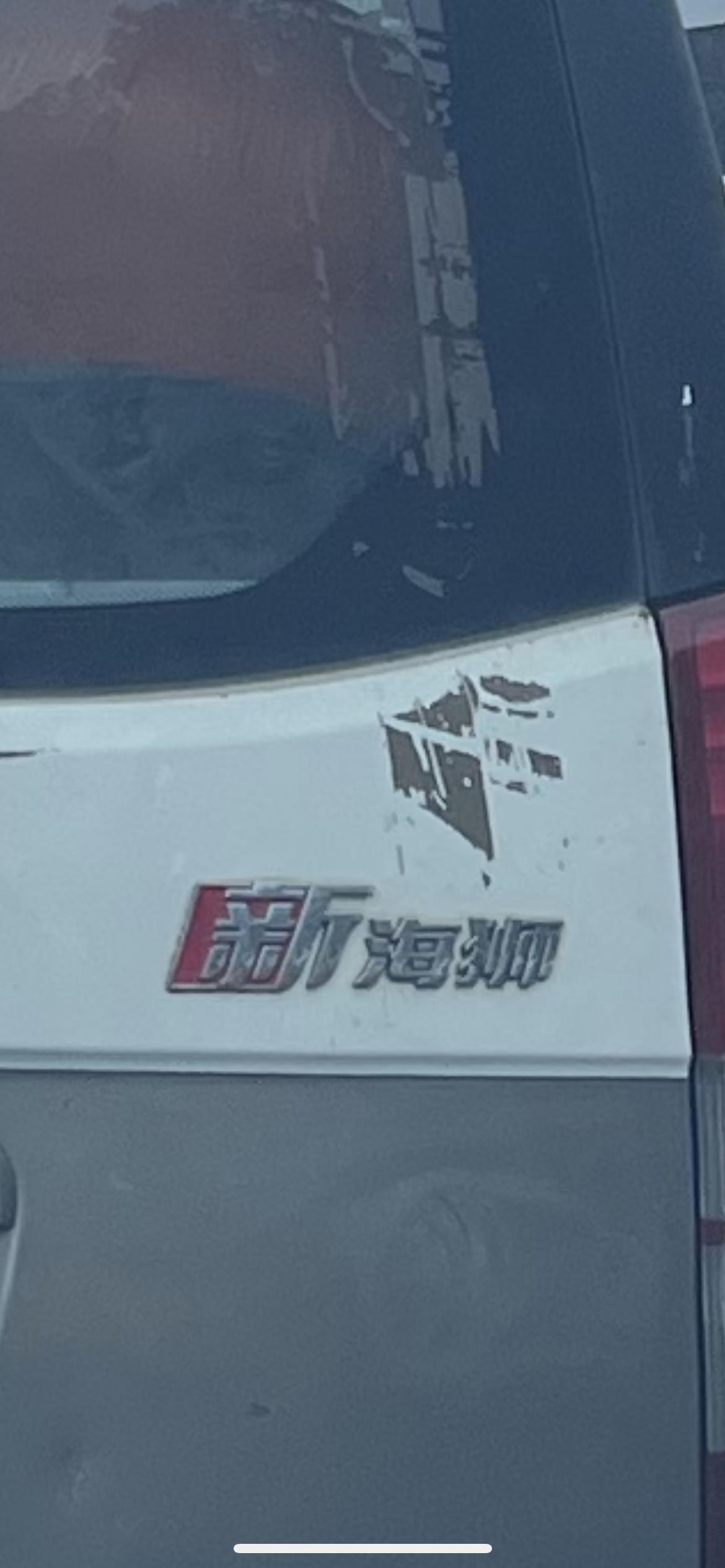 路上遇见海狮