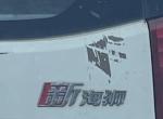 路上遇见海狮