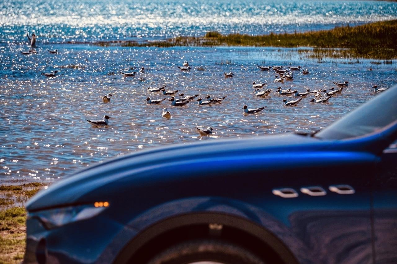 特斯拉Model Y 玛莎拉蒂换特斯拉 model y！大家给个意见，电车靠谱嘛！