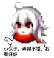 星瑞可以加小加油站的95吗，会不会出故障码