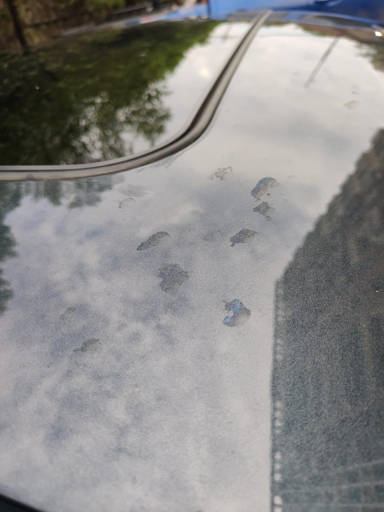 雪佛兰迈锐宝XL 停在树底下后洗车都洗不干净了，这种你们怎么洗掉的