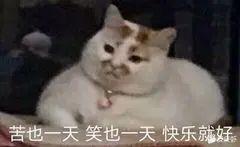 雪佛兰迈锐宝XL 22款1.5t锐动版迈锐宝15.15落地贵不贵啊