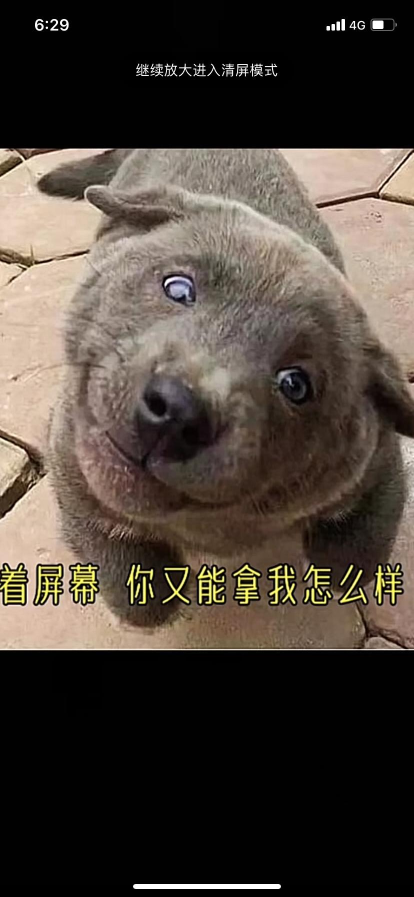帝豪什么颜色好看，纠结，合位能不能晒一晒
