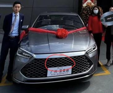 比亚迪秦PLUS DM-i 为什么有的车子中网有一块黑色的，有的没有