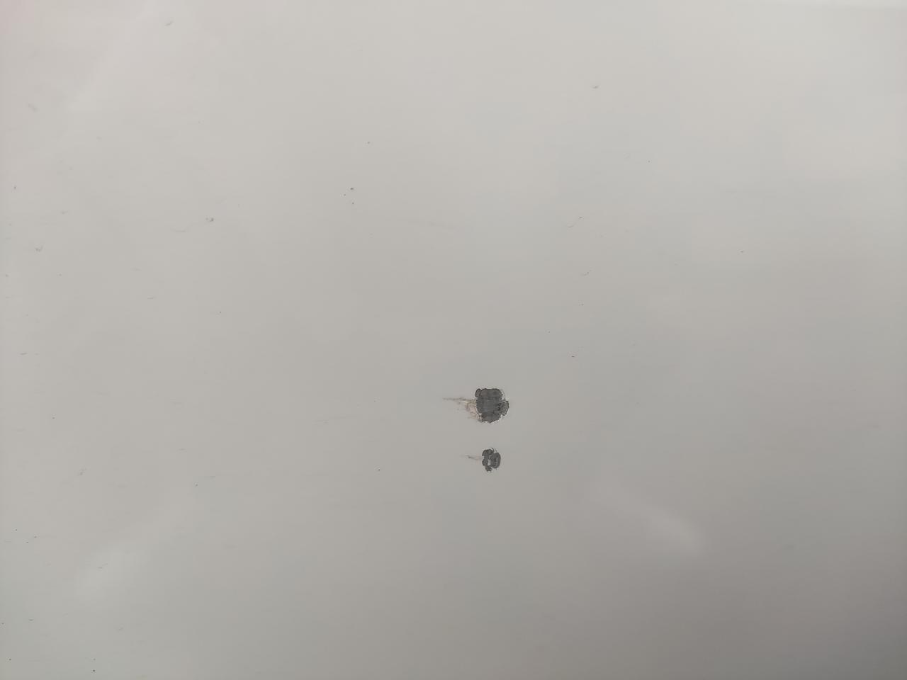 吉利帝豪 高速石子碰的，这是露底漆了吗？怎么搞？有必要去4s点喷吗？