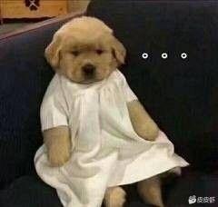 比亚迪汉DM 汉dmi会不会明年该款啊？就怕现在买了被背刺，有知道哥哥嘛？
