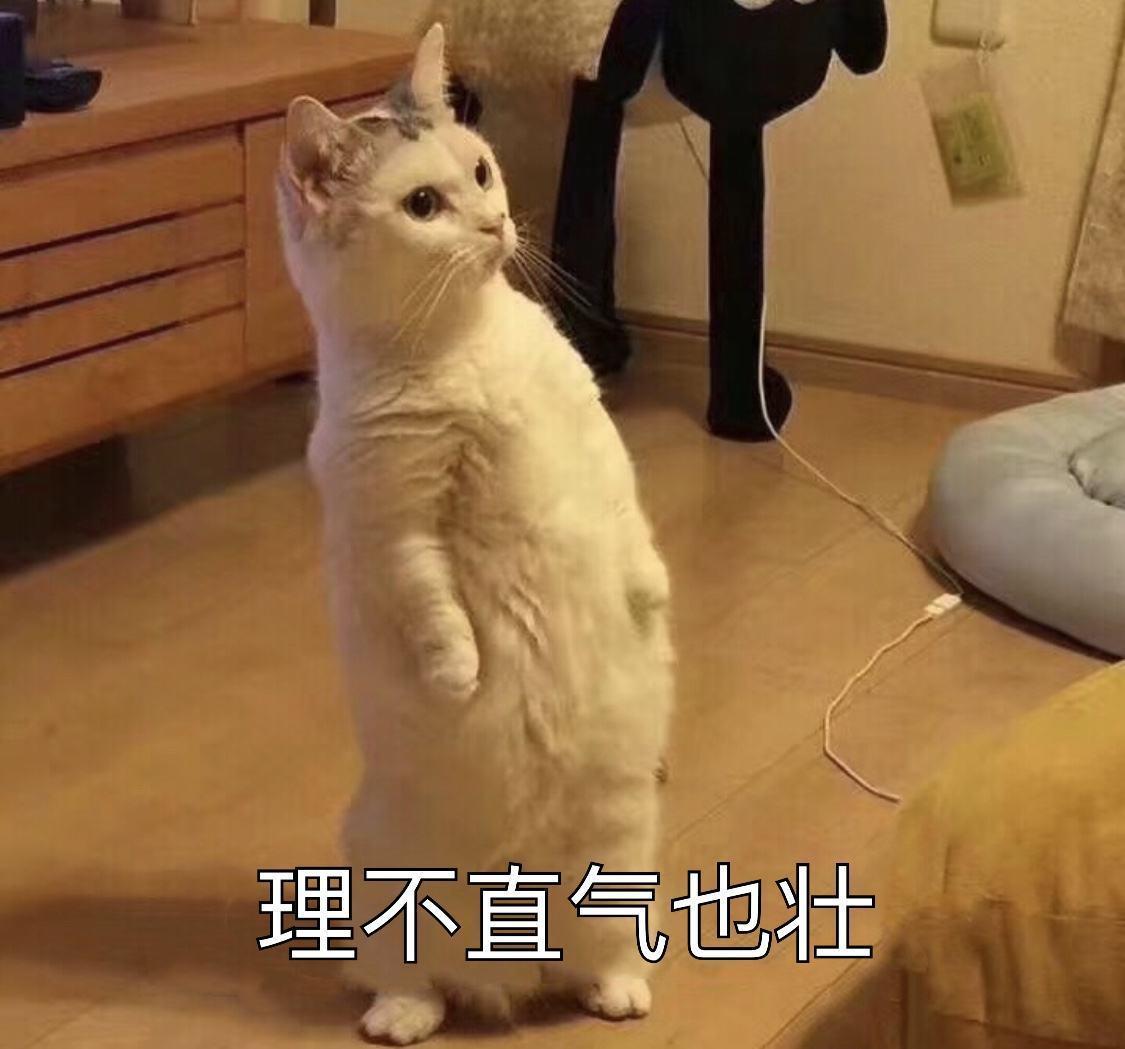 比亚迪秦PLUS DM-i 这两月的视频，都是再说续航多长，油耗多低。。。这种黄金右脚没啥意思啊！！啥时候能出个暴力输出