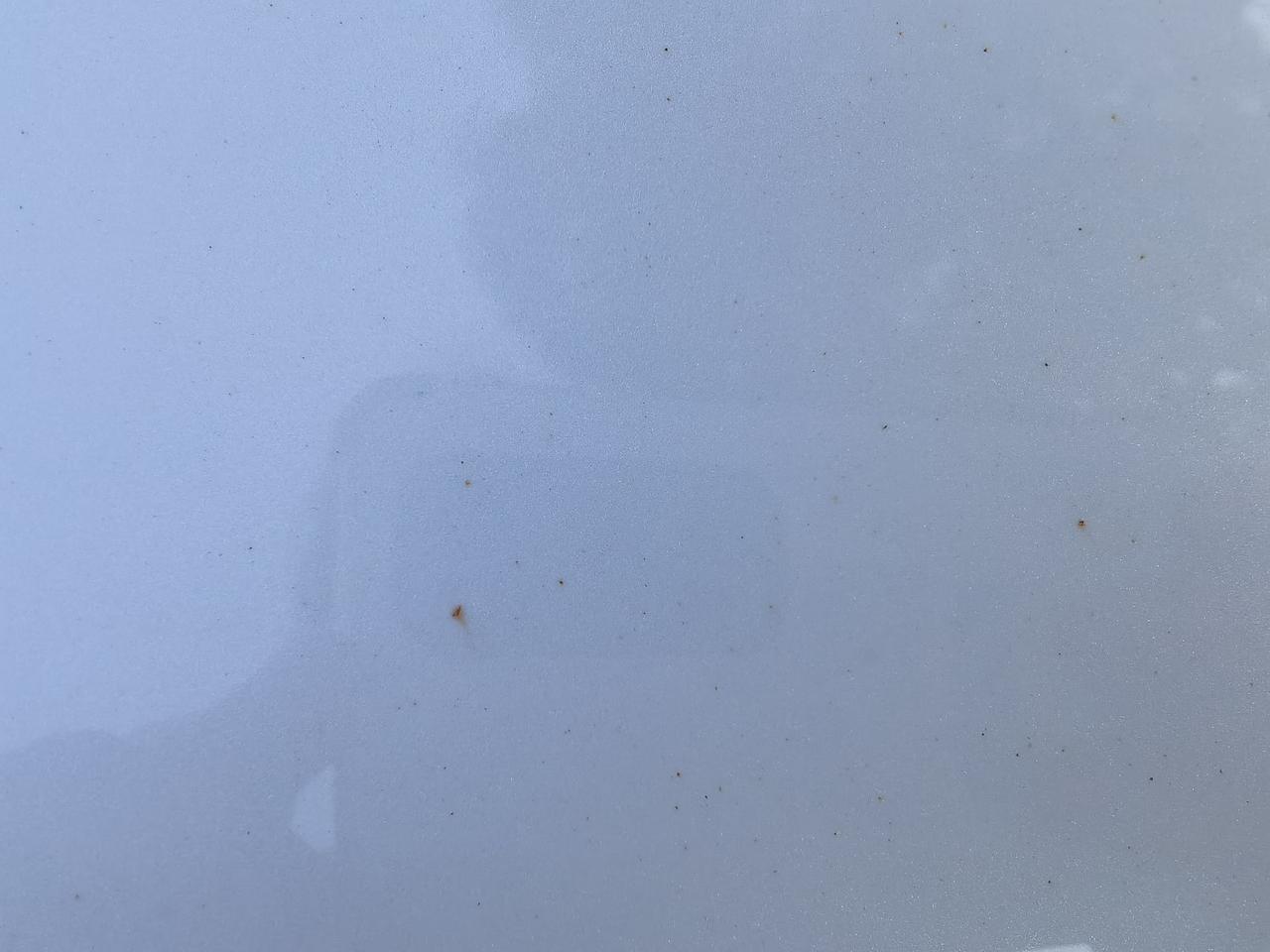 沃尔沃S60 一年零五个月的车，车身大面积出现这种锈斑怎么回事？该怎么解决好？有没有大神遇到同样问题的？