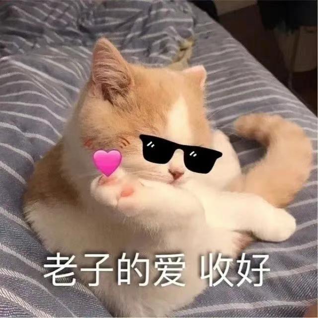 宝马X6 大佬们，想问下，中东版2018款的x6有感应尾箱和车内的氛围灯么