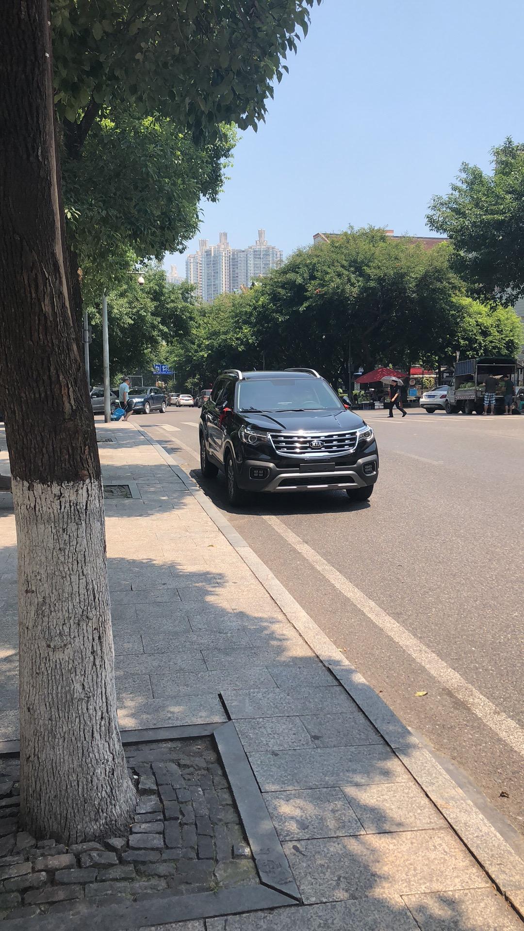 2019款 新智跑车主，行驶1万公里，一直都有一个问题，每次走坑洼的时候（前轮压到坑洼里，坑不深），前轮总会产生非常大的
