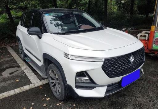 国内首款钻石车标的SUV，轴距2米7轮毂18英寸，90后赞不绝口