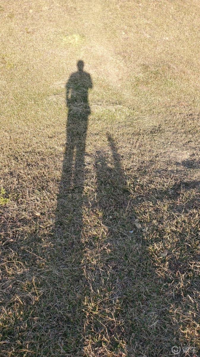#传祺故事# 一辆车的旅途2：我，风车和狗（上）
