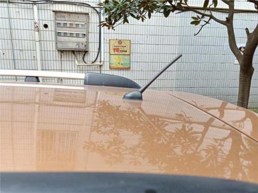 一念执着 提逍客不再魂牵梦萦