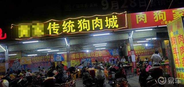 #传祺故事# 一辆车的旅途2：我，风车和狗（下）