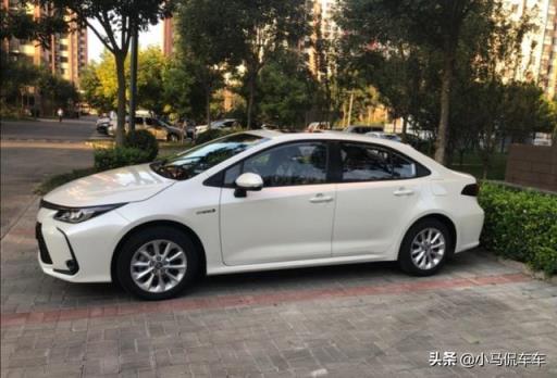 入手卡罗拉双擎，车主：开车大脚油门都很爽，但我却能一直爽